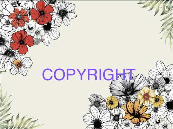 Floral Border Assets for Modern Design