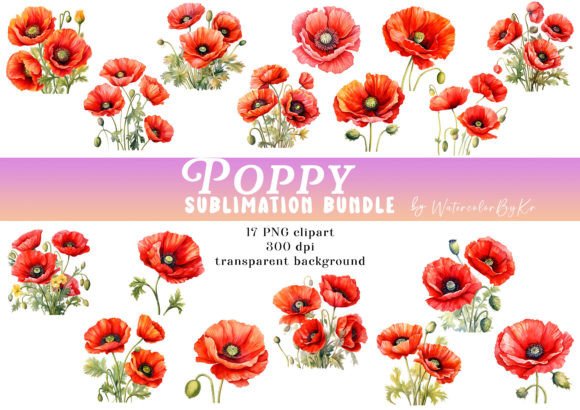 Watercolor Poppy Flower Bundle Clipart